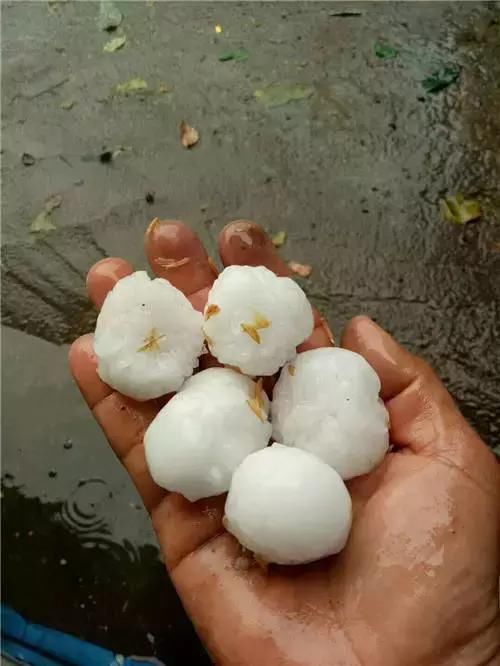 我在昆明艳阳高照 你在迪庆大雪纷飞