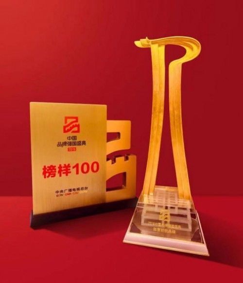 中国十大年度新锐品牌
