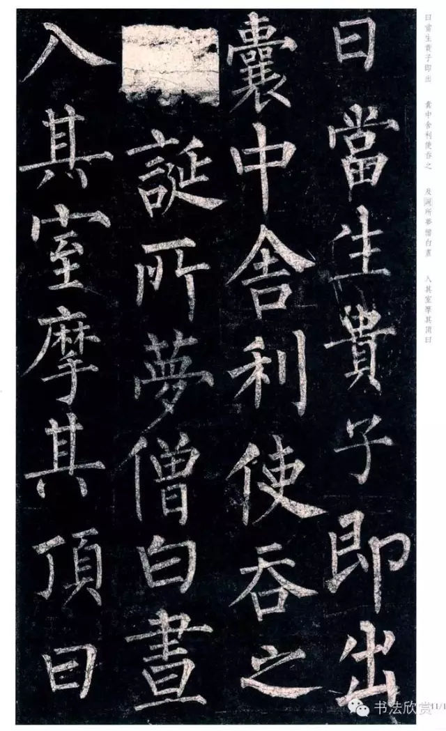t01bbf248272540398d.jpg
