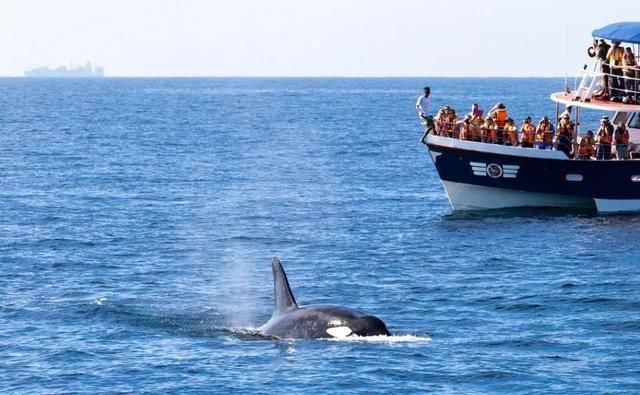 适合元旦休息发的朋友圈