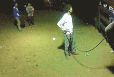 这次快递公司派来的业务员非常勤快,素质挺高