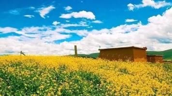 川藏线塌方与泥石流的高发期，为什么人们偏要选择在雨季入藏？