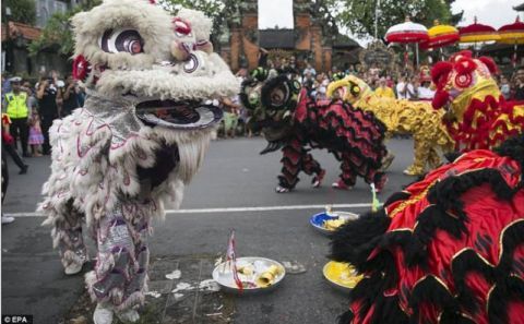 外媒报道全世界华人迎新年,舞狮灯笼饺子展现