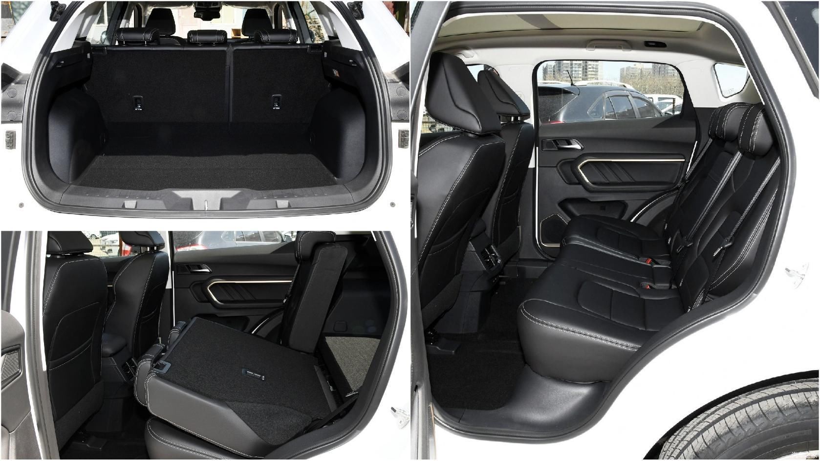 左右沙法怎么样