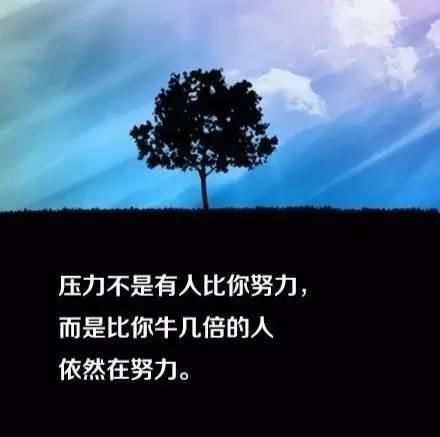 据说成功的发廊美容院,员工休息室都挂这些标