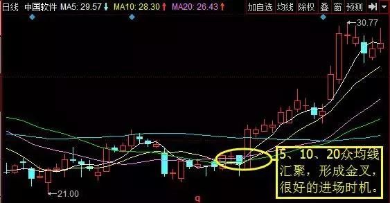 中国股市最大的谎言，保护中小投资者，散户：倾家荡产！