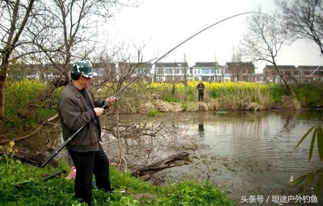 初冬季节钓鲫鱼技巧在于逗钓,逗钓的七种饵料
