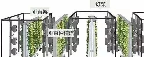 创意农业丨这家有机农场被谷歌等互联网大佬投资2亿美金，要在中