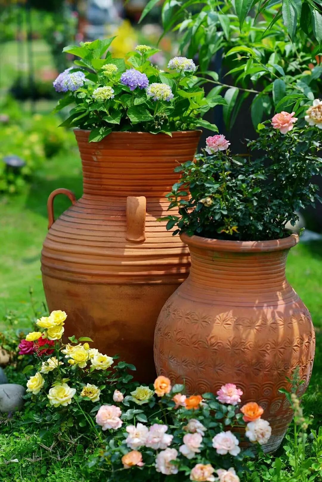 一对夫妻把青白江农家改造成“田园牧歌”，从此家有美景何必远方