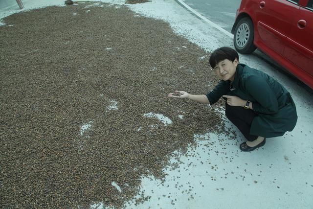 绵延大巴山，悠悠我情怀