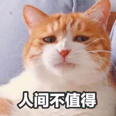 019年雅思托福全身变，留学生会受到什么影响？"