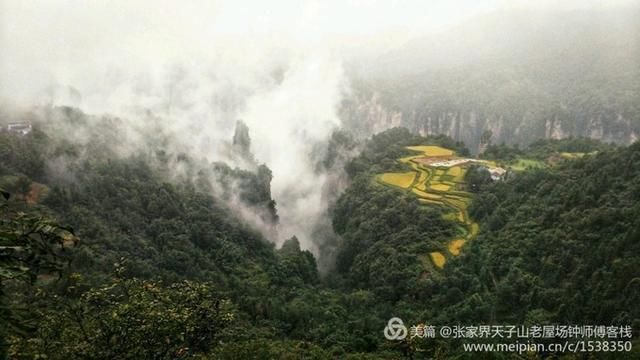 张家界天门山、张家界森林公园、杨家界、天子山三日游