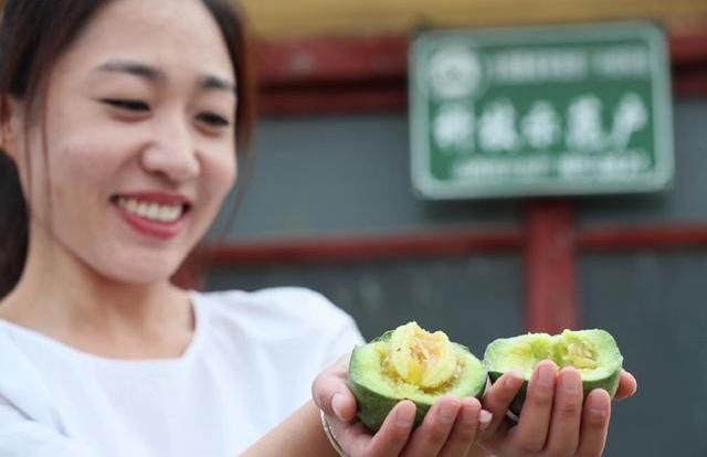 盐湖区王范乡农民张志宏栽种绿博特甜瓜供不