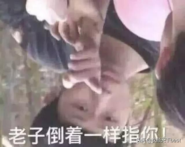 怼动画含义,轻松化解a动画死人包表情兔表情斯基图片