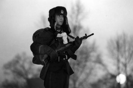 巴西毒贩驯养鹦鹉放哨 警察一靠近就大喊:妈妈