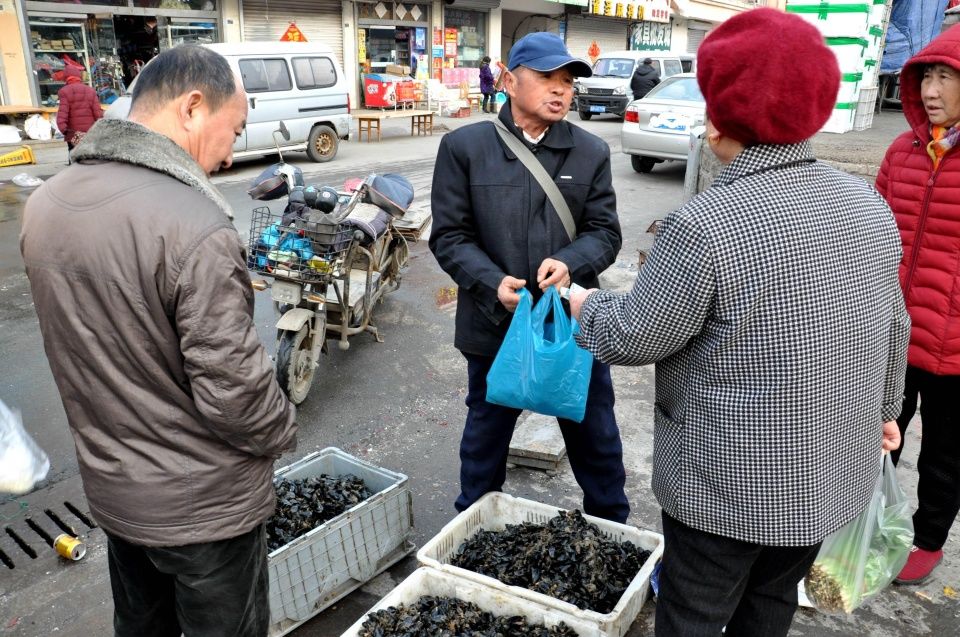 青岛早市 两种贝类海鲜肥硕正当时“平民价”10元4斤让人爱不释手