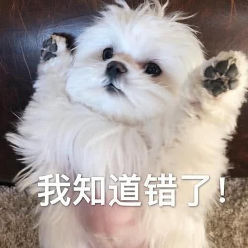 表情:2018最后一句话你想跟我说?想要1你情个包傻表狗图片