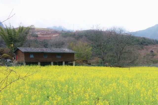 阳春三月，中国10个最美最值得去的旅游胜地，错过再等一年