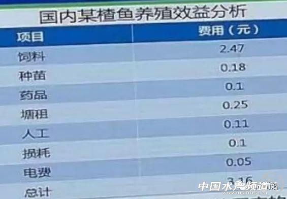 巴沙鱼或要引爆华南水产养殖业