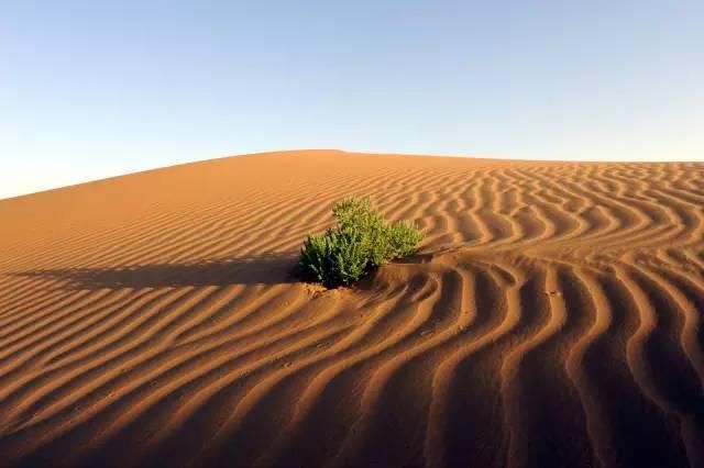 甘肃这个小城，竟没有一只蚊子!曾是七朝古都，却鲜为人知!