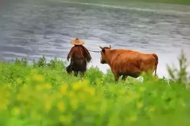 在辽东有个小村庄，美景堪比香格里拉，风光媲美寨沟！