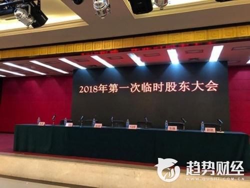 乐视网股东会保安比参会者多 高管连称困难非常大