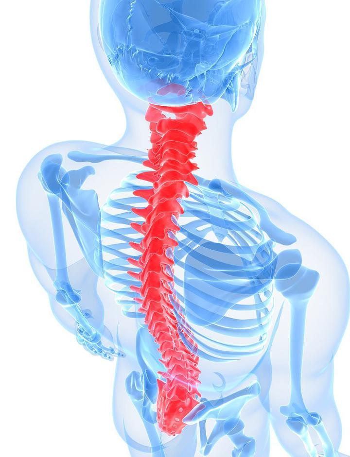脊柱是人体的第二条生命线 80%以上慢性疾病