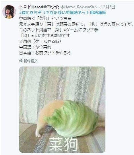 中国表情网友被翻译成日文,表情看完都惊到的沙雕包无语图斗图片