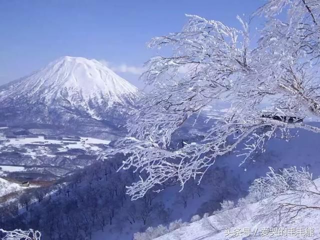 日本北海道或要成为北海省？中国土豪禁止日本人进入