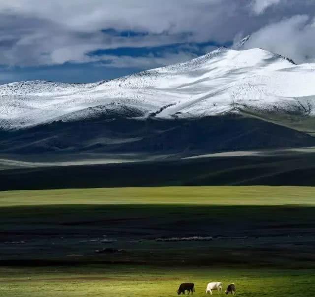 2019年共多少起地震