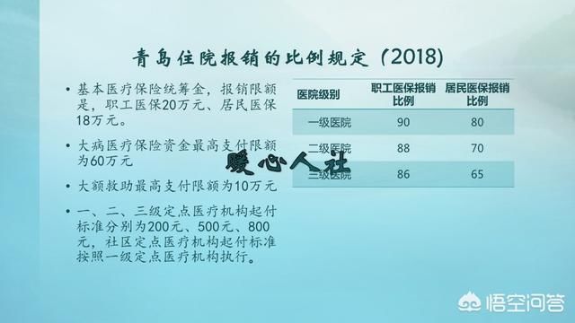 t01bf2f390727ed6f96.jpg