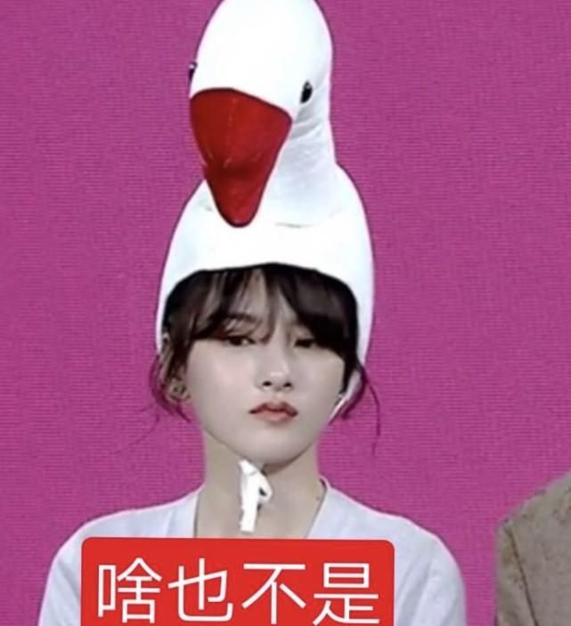 宋祖儿保温杯里泡汽水，直播喷一脸，本人晒自己表情包回应：快停止