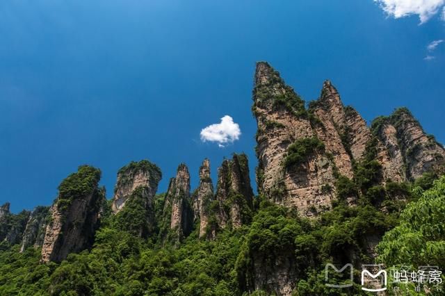 张家界森林公园2日行程，沉迷于湘西的醉人山色