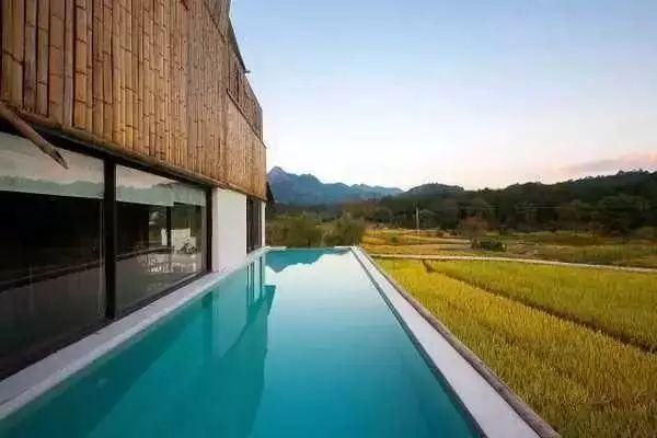 从废弃小学到绝美民宿！千亩稻田环绕、山泉水无边泳池，这间酒店
