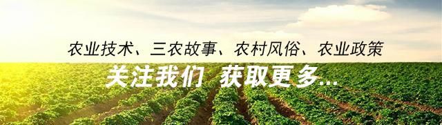 2018年这6类人可以享受新农合“退费”，4种情形无法报销医疗费用