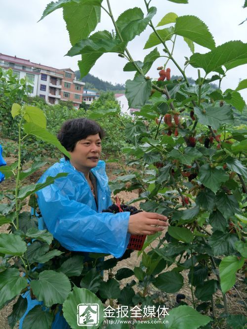 “五一”小长假 带你遇见水果味的初夏