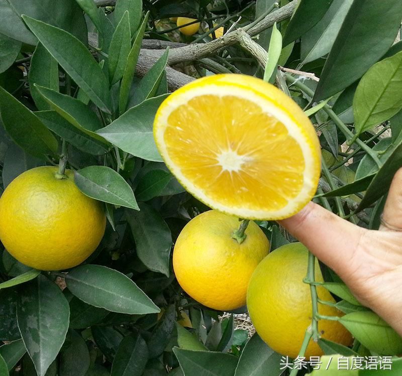 湖南这条在建高铁线路美如画,有你们家乡吗_【