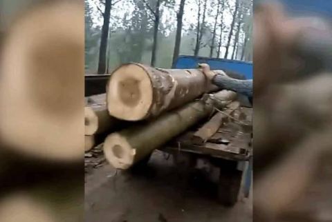 一天工作14个小时,扛300斤一根的木头,比工地