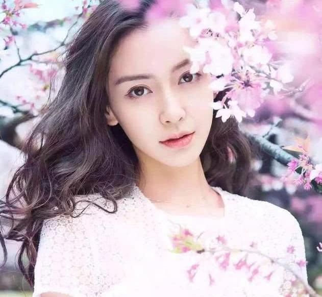 国内8位当红女星学历报告,张钧宁法学硕士,赵