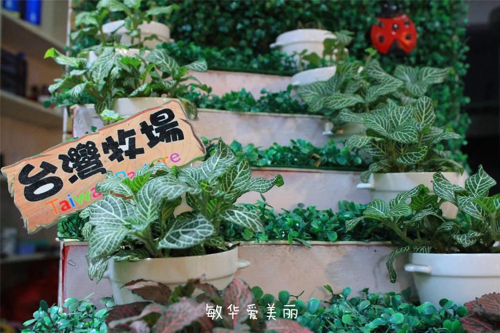 厦门市十五届人大五次会议