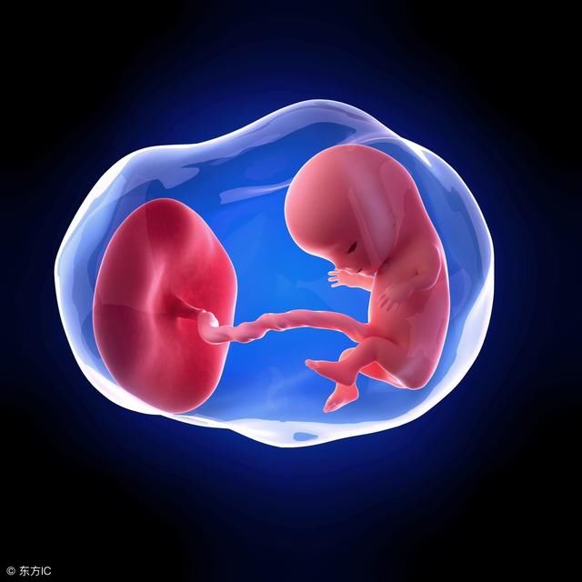 胚胎停止发育以后，多久可以备孕?