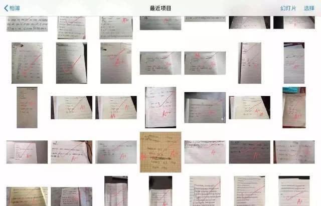 教师资格证网课哪个好