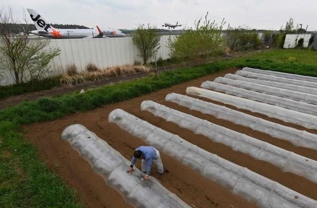 日本成田机场最牛钉子户：你开你的飞机，我种我的农田