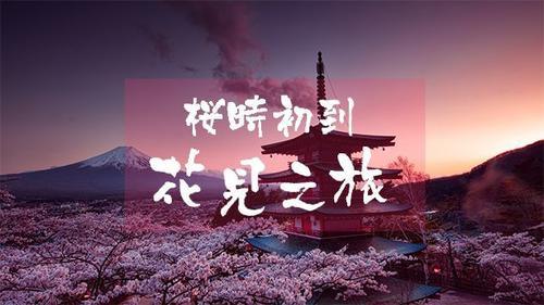 2019日本樱前线公布,满开时间已定!再不订京
