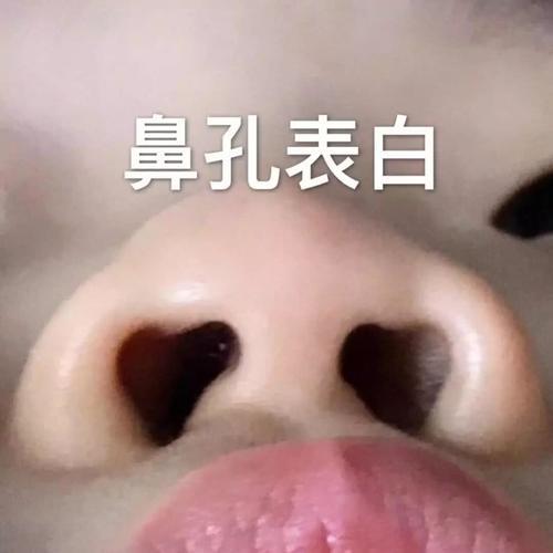 合集 | 可爱到爆的表情包