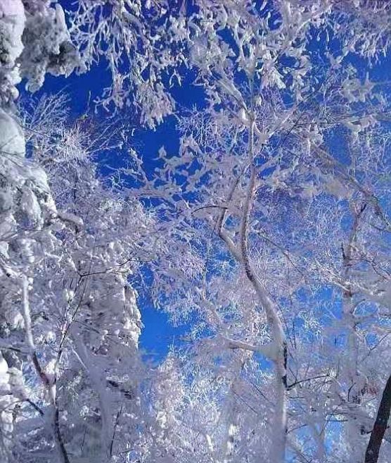 哈尔滨气候气候