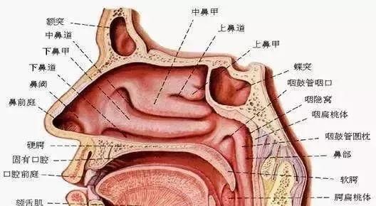 这家店开遍全国1500家，其中常州就有15家!鼻炎患者去过后都会说: