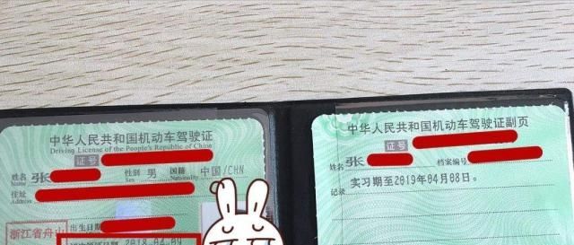 扣12分怎么处理