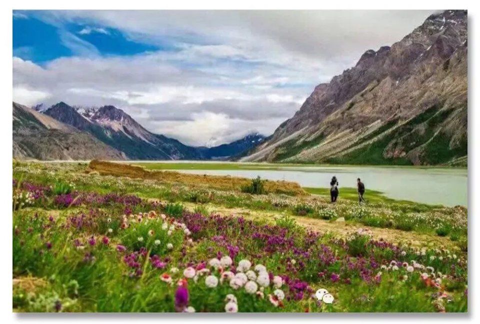 是什么在撩拨你的西藏情怀!