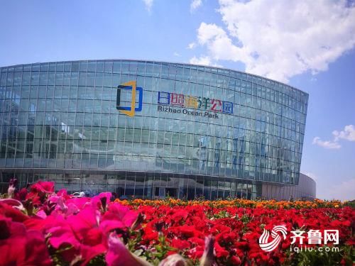 新旧动能转换看落实丨日照海洋公园预计旅游旺